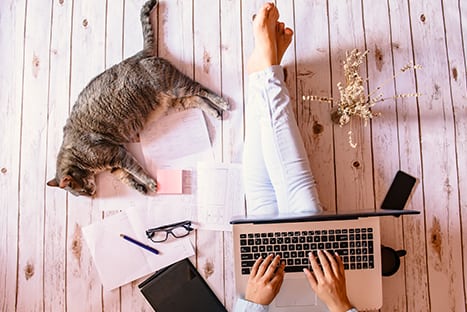 woman sitting on floor with cat working on laptop